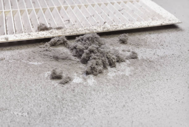 Best Air Vent Cleaning Services  in Rogersville, MO