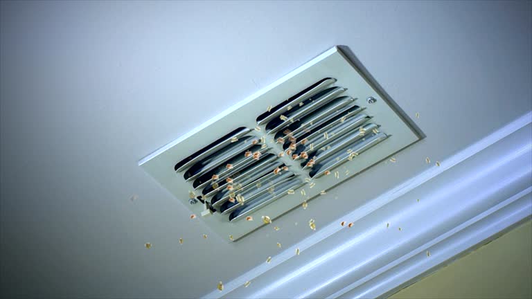 Best Best Air Duct Cleaning Near Me  in Rogersville, MO