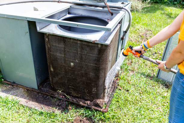 Best Air Vent Cleaning Services  in Rogersville, MO