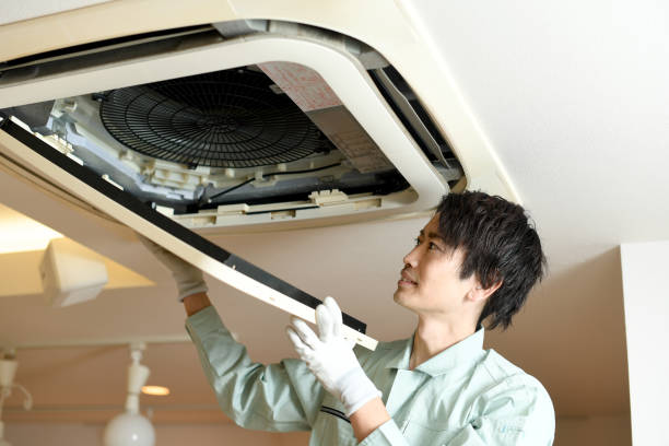 Best Affordable Air Duct Cleaning  in Rogersville, MO
