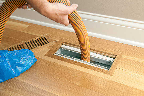 Best Local Air Duct Cleaning Services  in Rogersville, MO