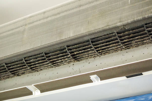 Best Ductwork Cleaning Services  in Rogersville, MO