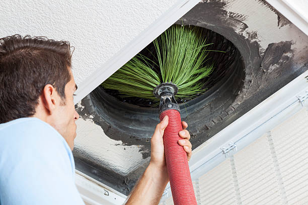 Best Professional Duct Cleaning Services  in Rogersville, MO